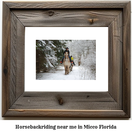 horseback riding near me in Micco, Florida